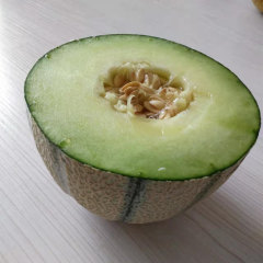F1 Melon Seeds-New Honey No.4