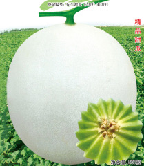 F1 Sweet Melon Seeds-Green Lady