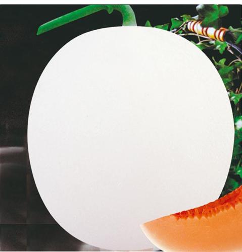 F1 Sweet Melon Seeds-Honey Red Girl