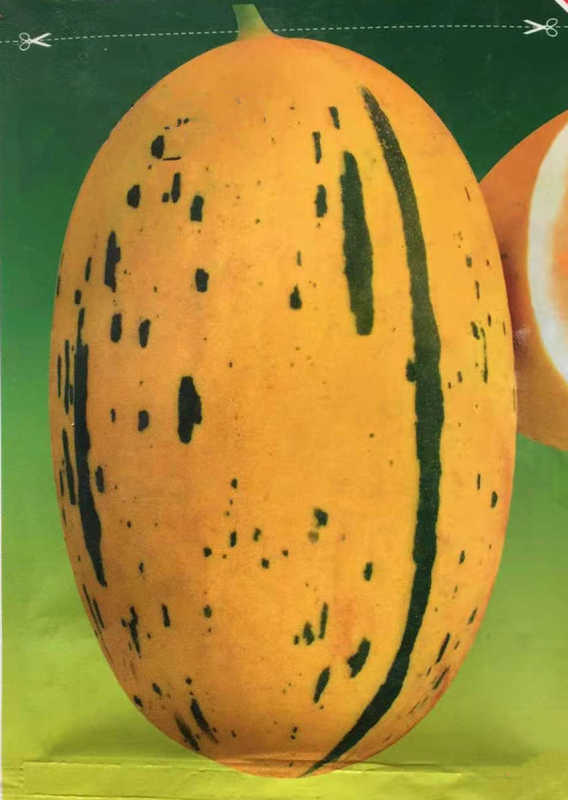 Chinese F1 Sweet Hami Musk Melon Cantaloupe Seeds For Sale-Red Lucky Star