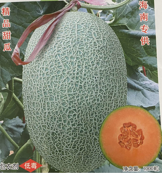 Chinese F1 Sweet Hami Musk Melon Cantaloupe Seeds For Sale-Big Fragrance