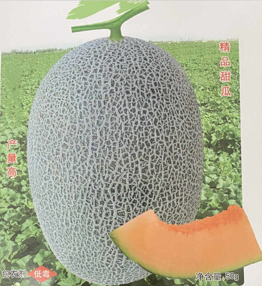 Bulk Sale F1 Sweet Hami Musk Melon Cantaloupe Seeds For Planting-Green Honey King No.3