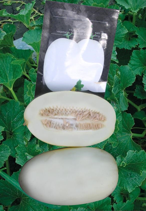 F1 Sweet Melon Honeydew Cantaloupe Seeds For Sale-Small White Pear