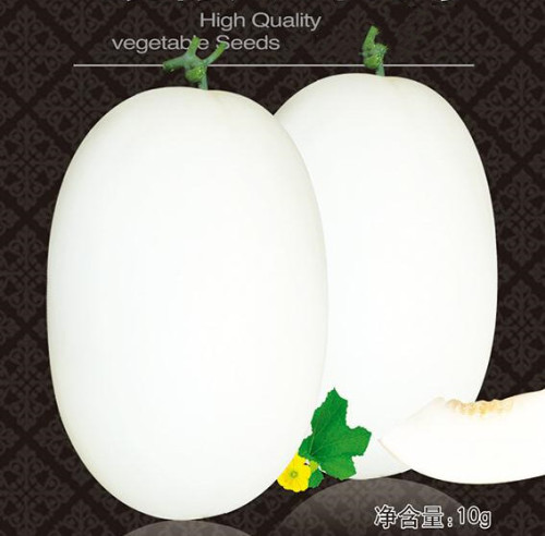 F1 Sweet Melon Honeydew Cantaloupe Seeds For Sale-Small White Pear