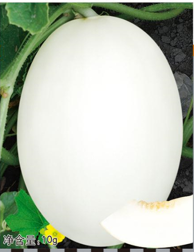 F1 Sweet Melon Honeydew Cantaloupe Seeds For Sale-Big White Pear