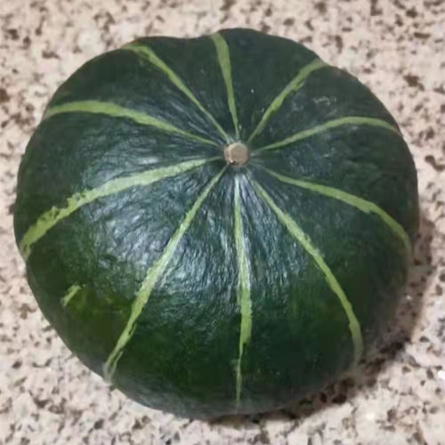 F1 Pumpkin Seeds- Beibei No.2