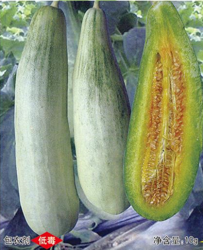 F1 Thin Peel Sweet Melon Seeds For Growing-Sweet Horn