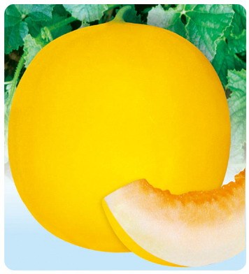 F1 Sweet Melon Seeds For Growing-SW006
