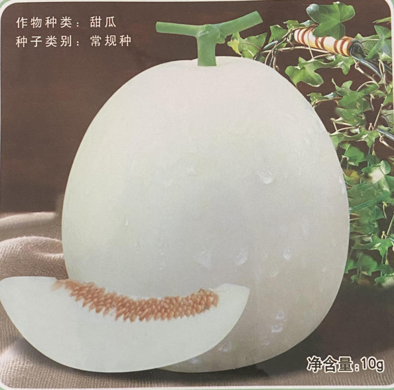 Sweet Melon Honeydew Seeds For Sale-Silver Lord