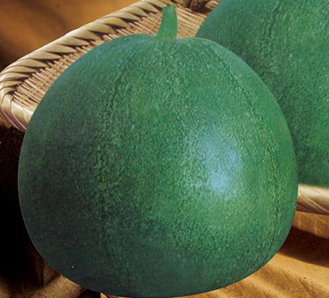 F1 Sweet Melon Seeds For Growing-Green Crisp Boutique
