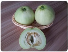 Hybrid F1 Sweet Melon Seeds For Growing-SW011