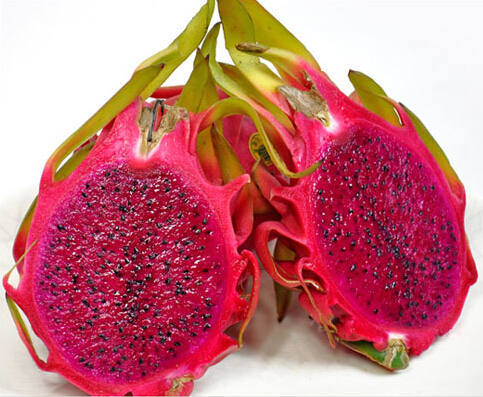 High Quality Red Peel Red Pulp Dragon Fruit Seeds For Growing