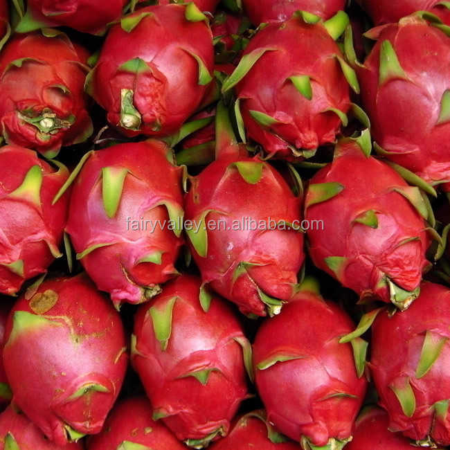 High Quality Red Peel Red Pulp Dragon Fruit Seeds For Growing