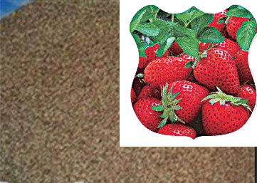 Red Strawberry Seeds