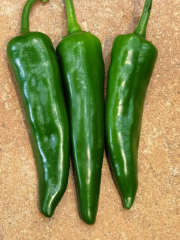 High Quality High Yield Hybrid F1 Hot Peppers Chili Pepper Seeds for Growing-Fortune No.6