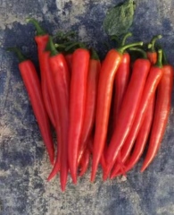 Fairy Valley Bred High Quality Hybrid F1 Green Hot Pepper Chili Seeds for Planting-PP027