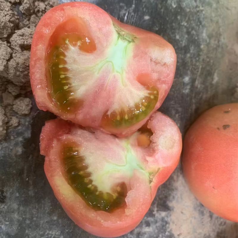 Fairy Valley Supply Hot Sale Hybrid F1 Indeterminate Pink Tomato Seeds For Growing-Pink King No.8