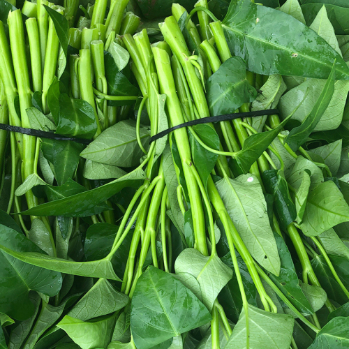 High Quality Water Spinach Leafy Seeds for GrowingSmall Leaf Water