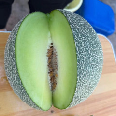 Fairy Valley New Breeding Hybrid F1 Green Peel Round Sweet Melon Seeds for Growing-Green Ruby No. 7