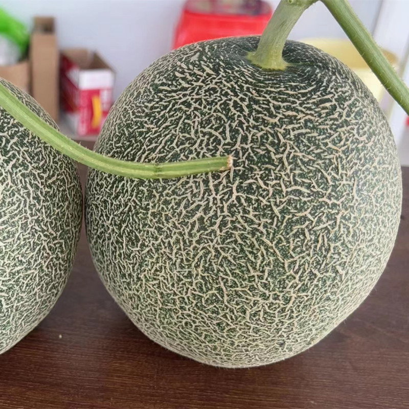 Fairy Valley New Breeding Hybrid F1 Green Peel Round Sweet Melon Seeds for Growing-Green Ruby No. 7