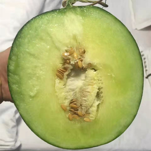 Fairy Valley New Breeding Hybrid F1 Green Peel Round Sweet Melon Seeds for Growing-Green Ruby No. 8