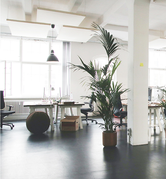 SELF LEVELING COMPOUND