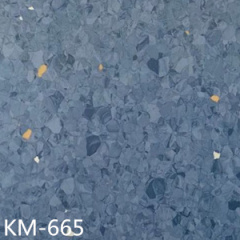 Homogeneous Vinyl - Guard