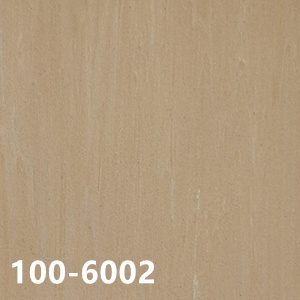 Homogeneous Vinyl - Big Dragon 100