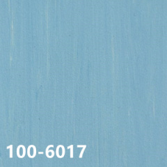 Homogeneous Vinyl - Big Dragon 100