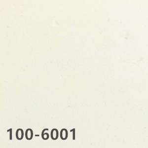 Homogeneous Vinyl - Big Dragon 100