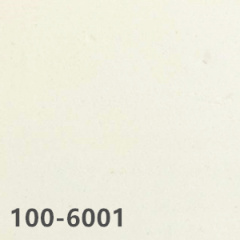 Homogeneous Vinyl - Big Dragon 100