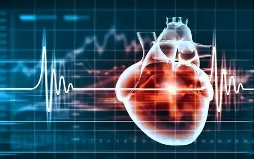 Heart-on-a-chip Model could Replicate Myocardial Infarction
