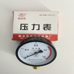 铁头牌压力表
