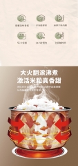 艾贝丽ABL-FB50 降糖饭煲