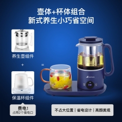 艾贝丽养生壶ABL-YSH001