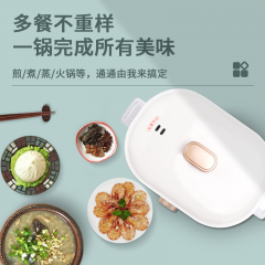 艾贝丽多功能电蒸锅ABL-DZG01