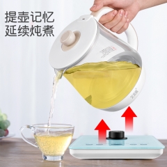 艾贝丽养生壶XNR-23（老款）