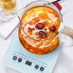 艾贝丽养生壶XNR-23（老款）