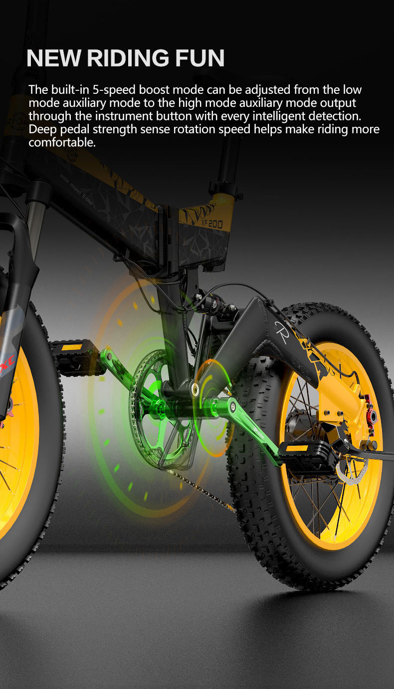 Bezior XF200 48V/15Ah 1000W Electric Moped Bike 25Km/h(With Speed Limit)  Power Assist Mileage 130KM Mountain Ebike