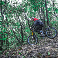Bezior X Plus 1500W Electric Mountain Folding Bike