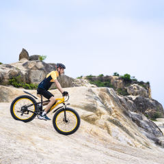 GOGOBEST GF600 100W Electric Mountain Bike