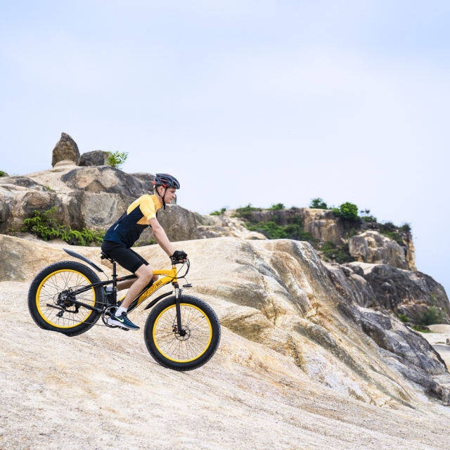 GOGOBEST GF600 100W Electric Mountain Bike