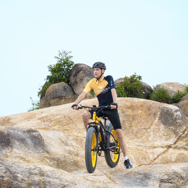 GOGOBEST GF600 100W Electric Mountain Bike