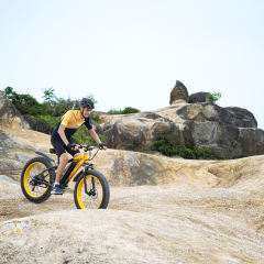 GOGOBEST GF600 100W Electric Mountain Bike