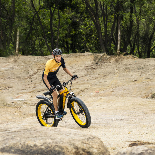 GOGOBEST GF600 100W Electric Mountain Bike