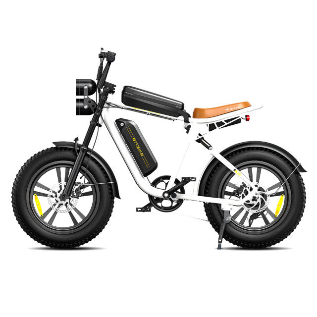 ENGWE M20 750W Motorcycle Electric  Mountain Bike