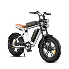 ENGWE M20 750W Motorcycle Electric  Mountain Bike