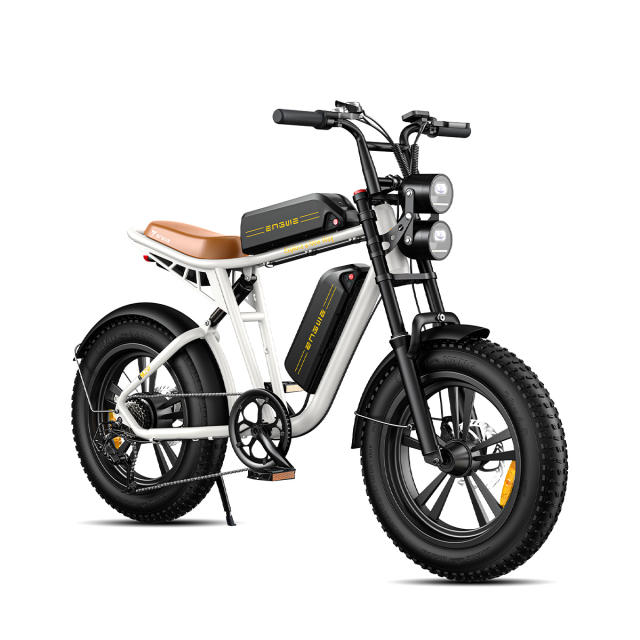 ENGWE M20 750W Motorcycle Electric  Mountain Bike