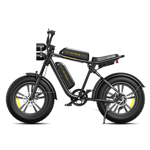 ENGWE M20 750W Motorcycle Electric  Mountain Bike