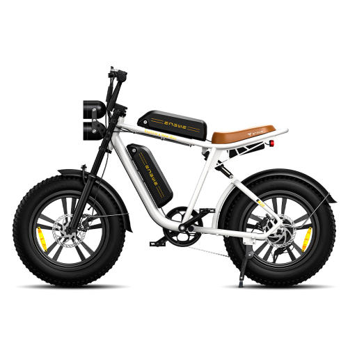 Electric Ebike ENGWE M20 750W